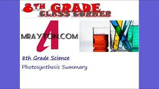 Photosynthesis Summary
