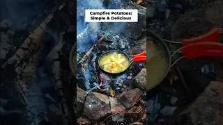 Wilderness Cooking ASMR: I Made Chicken Kebabs In The Forest