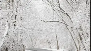 #ilovesnow #nature