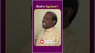KA Paul Fires On CM KCR Family Ruling In Telangana | Munugode Results | #kapaul #ytshorts #shorts