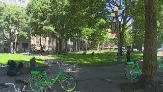 More money for City Hall park