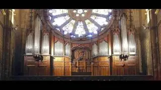 Michael Haydn Concerto for Organ, Viola, and Orchestra.
