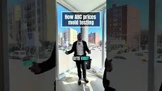 Charge of Mold Testing in NYC