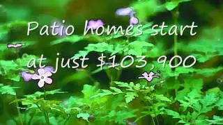 Fort Leonard Wood houses for Sale