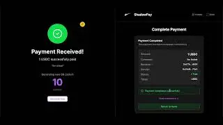 ShadowPay usage flow