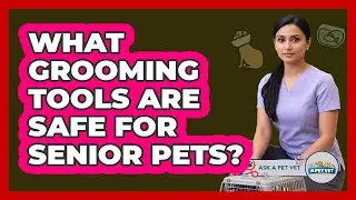 What Grooming Tools Are Safe For Senior Pets?