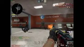 CSGO Ace, 5k Spray Down