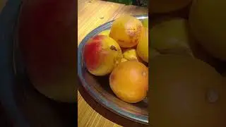 Natural food of Gilgit Baltistan / #organicfood