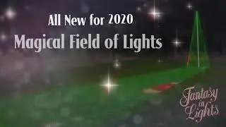 New Fantasy In Lights Scene 2020