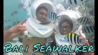 Seawalker Bali : must do underwater activity