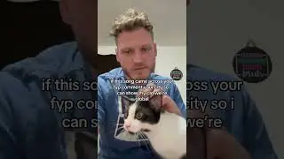 comment for kitty! #kitten #hiphop #musicproducer #canadiansinger