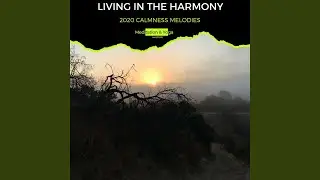 Ambient Rhythms