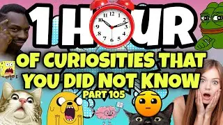 1 HOUR OF CURIOSITIES AND THINGS YOU DIDN'T KNOW 🧠⏰ #105