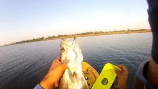 InsomniYak vs FishxScale Speck Bass Red Challenge