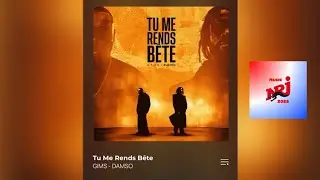 Gims Ft. Damso - Tu me rends b&ecirc;te ( version nrj )