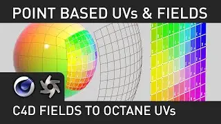 Silverwing: Point Based UVs with Fields in Octane