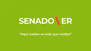 1º Sesión de Prórroga del 146º Período Legislativo