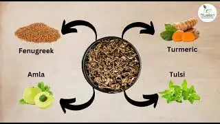 TIFUSION ANTI DIABETES TEA