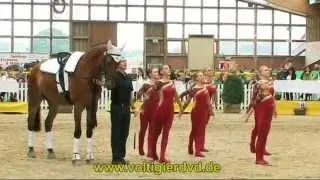 DJM Krumke 2015 Gruppen 07 Juniorteam I Schenkenberg