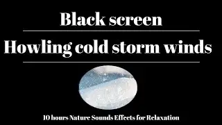 Howling cold storm winds & Rustling trees in frozen forest / Nature sounds effects for Relaxation