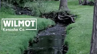 Wilmot