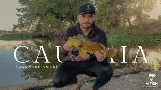 Pescaria na pisada , muita ação e um trofeu, belo de tucunaré 🏆 🐟