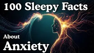 The Most Relaxing Facts About Anxiety to Fall Asleep To
