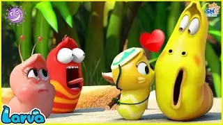 Larva New Version 2026 / Larva Top 100 Episodes Revealed Funny Clips 2026 / SMToon World