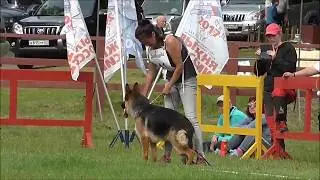 Адреналин ДВ 2019.  Класс юниоры.  Суки станд.