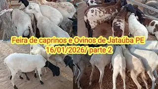 Feira de acessórios de Jataúba PE 16/01/2026/ parte 3