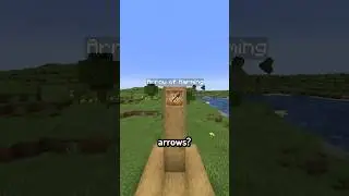 Which Type of Armor Can Survive The Most Instant Harming Arrows in Minecraft?