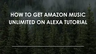 Как подключить Amazon Music Unlimited к Alexa: пошаговое руководство
