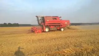 BIZON Gigant Z083