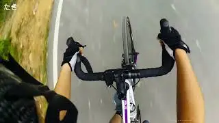 Cobain Polygon Strattos S2 | GOWES SENDIRIAN | Roadbike Ringan Gesit | Cocok untuk Pemula