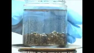 Patriot Limited -  Petroluxus Remediation Test