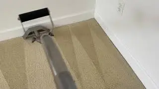 Multiple stains. Acceptable results 