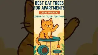 Best Cat Trees for Apartments (2025 Update) &ndash; Compact, Stylish & Functional