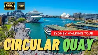 Circular Quay to Ives Steps Wharf |  2021 Sydney Walking Tour | 🇦🇺 Australia Tour【4K】
