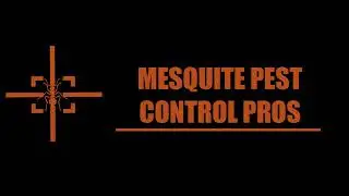 Mesquite Termite Exterminator | Termite Exterminator Service in Mesquite TX