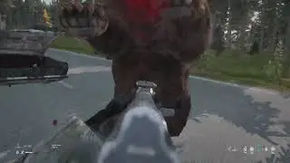 DayZ bear attack