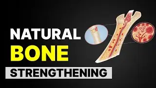 Bone Health Reset: 30-Day Plan to Build Stronger Bones Naturally