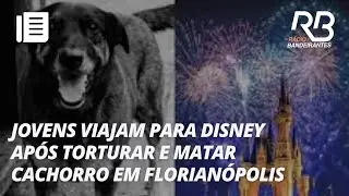 C&atilde;o Orelha: cachorro morre ap&oacute;s ser brutalmente espancado por adolescentes na Praia Brava