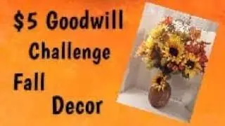 $5 Dollar  Goodwill Challenge