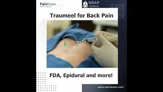 Traumeel and Possible Use for Spine Pain