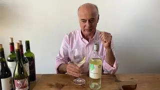 VINO VERAMONTE SAUVIGNON BLANC 2019, SEG&Uacute;N PASCUAL IBANEZ