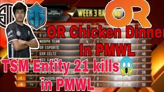 TSM Entity 21 kills in PMWL | TSM Entity At Top #1| ORANGE ROCK Chicken Dinner | PMWL Highlights