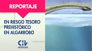 Algarrobo: Tesoro prehistórico estaría en riesgo por construcción de muelle