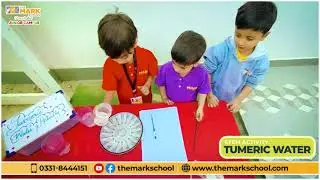 STEM Activity: Turmeric Water Magic in Action! | The MARK School's Students.