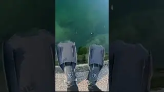 When you buy new Diving Gear!