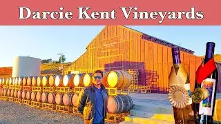 Darcie Kent Vineyards, our 3rd stop on our wine tasting trail.